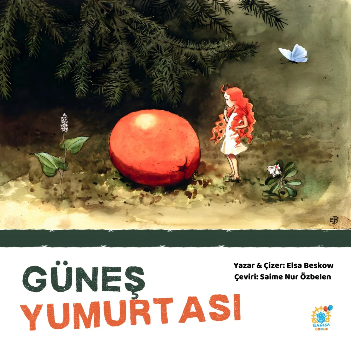 güneş yumurtası